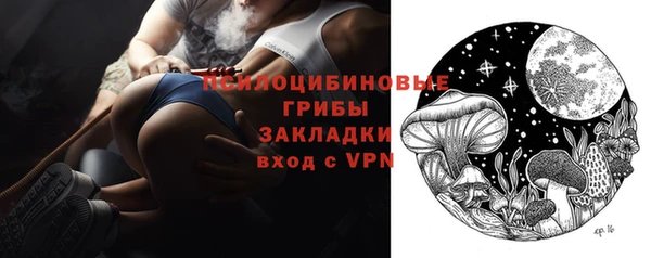 apvp Вяземский
