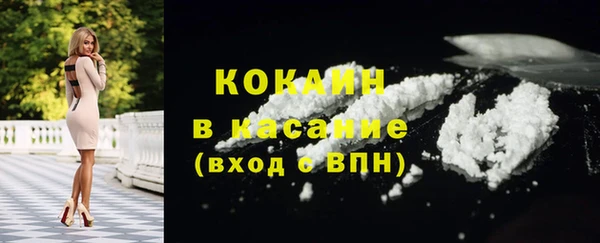 стафф Вязьма
