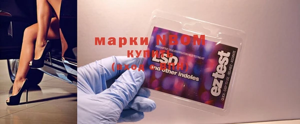 стафф Вязьма