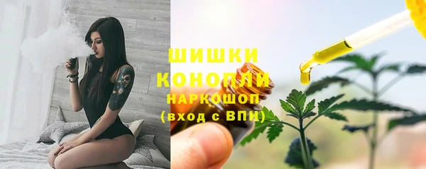 стафф Вязьма