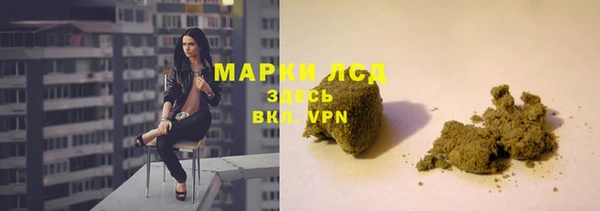 стафф Вязьма
