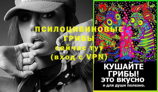 стафф Вязьма