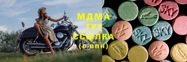 apvp Вяземский