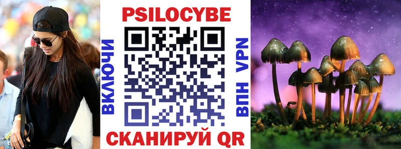 купить наркотики сайты Заозёрный Псилоцибиновые грибы Psilocybe